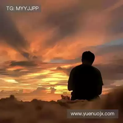 秦霞品